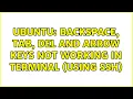 Ubuntu Backspace Tab Del and arrow keys not working in terminal using ssh