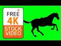 Free Stock s - Horse silhouette running on green screen seamless loop
