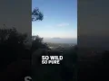 Download Lagu NYATANYA TAK ADA NYALI UNTUK UNGKAPKAN #shorts #pendaki #gunung #viral #story