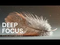 Minimalist Deep Focus Series Musique Ambient pour Concentration Intense