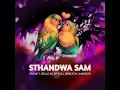 Sthandwa Sam (feat. BelloM, Epic DJ, DJ Seneath & X-Morizo) - 2point1