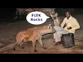 Rust FLTK Buttons