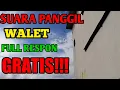 Download Lagu suara panggil walet terbaik jernih super respon