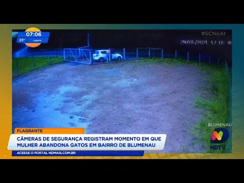 Câmeras de segurança flagram mulher abandonando gatos em Blumenau