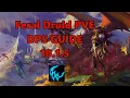 Feral Druid PVE DPS Guide 10 1 5
