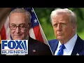 Download Lagu 'BIZARRE': Schumer just gave Trump a huge opportunity