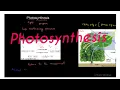 Photosynthesis Explained Simply How Plants Make Their Own Food