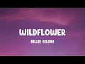 Billie Eilish - WILDFLOWER (Lyrics)
