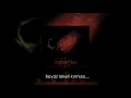 Daylight Dies - A Life Less Lived (Türkçe Çeviri)