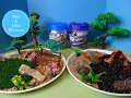 Pets Dinosaurs Animal Playsets Small World Dioramas