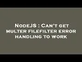 NodeJS Can t get multer filefilter error handling to work