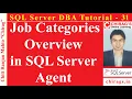 SQL Server DBA Tutorial 31 - Job Categories Overview in SQL Server Agent