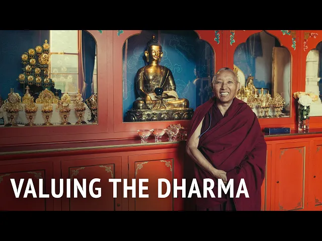 Valuing the Dharma | Geshe Tashi Tsering