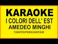 Download Lagu I COLORI DELL' EST Amedeo Minghi KARAOKE