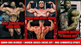 Ramon Dino Injury Rumor Andrew Jacked 4 Weeks Out Mike Sommerfeld Update New Behrouz Update