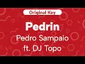 Download Lagu Karaoke PEDRIN - Pedro Sampaio ft. DJ Topo | Original Key (Cover with Backing Vocals)