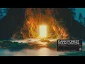 Vidojean X Oliver Loenn - Dark Forest (Official Audio)