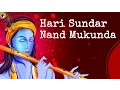 Download Lagu Hari Sundara Nanda Mukunda | Rishi Nityapragya | Art of Living Krishna Bhajan