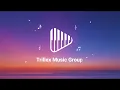 STELLA LEFTY, Vincent Mason - Something To Lose (Lyrics)