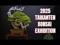 Taikanten Bonsai Exhibition 2025, Kyoto, Japan / 第45回 日本盆栽大観展