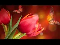 Download Lagu Самая Красивая Новогодняя Музыка для души! Новогодний Сборник музыки Сергей Грищук! весна