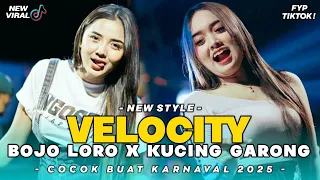 dj velocity bojo loro x kucing garong remix viral tiktok full bass terbaru