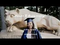 What I Wish I Knew Before I Went to Penn State Did I Regret My Decision