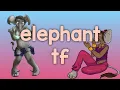 Elephant tf