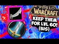 Classic WoW Warrior 5 BiS Items You Need Before Hitting 60