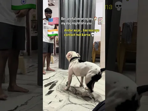 He is a friendly dog.🐶 #viral