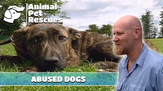 Neighbor s Shocking Complaint Sparks Concern for SPCA Full Episode Animal Pet Rescues