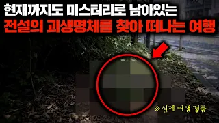 세계 곳곳에서 목격된 전설 속 미확인 괴생명체 TOP 3 [티저]