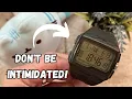 Timex Expedition Grid Shock Review in 2023 - Don t Avoid It