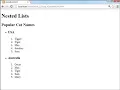 Part 4 Lists - Nested List 1
