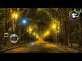 曾在你怀抱 陈百强 Danny Chan /林姗姗 歌词版