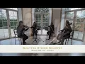 'Wake Me Up' - Avicii - Quattro String Quartet