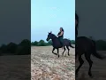 Download Lagu Sunset Ride #mallorca #horse #healing #nature #soncavalls #equestrian #sunset #trust #free #wild