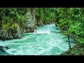 Download Lagu 🌊 Suara Gemericik Air \u0026 Kicau Burung | Musik Relaksasi untuk Tidur, Belajar, Meditasi