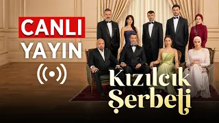 Kızılcık Şerbeti canlı yayın