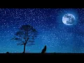 Download Lagu I Don t Want To Do This Without You (cinematic music)