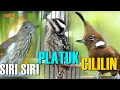 Download Lagu MASTERAN CILILIN - SIRI SIRI - PLATUK BERAS