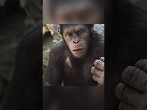 🔥 قرد واحد أشعل ثورة القرود… والنهاية كانت صادمة! 🦍😱