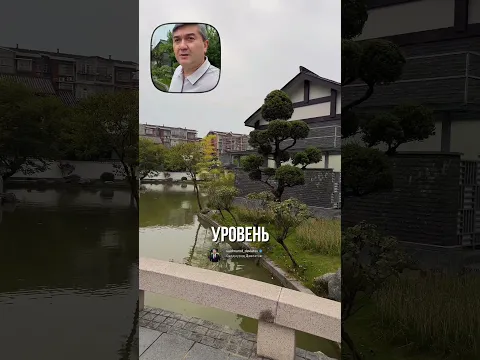 Мысли Миллионера Рано Утром