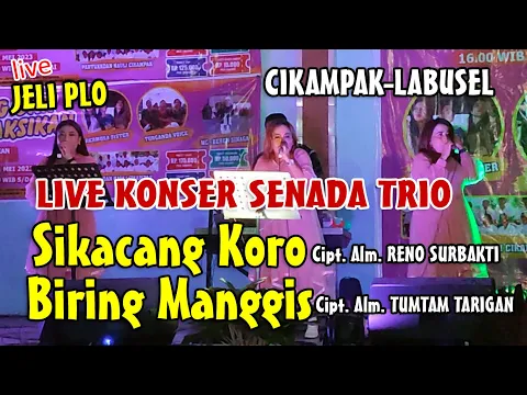 Download MP3 LIVE KONSER SENADA TRIO SIKACANG KORO - BIRING MANGGIS | CIKAMPAK LABUSEL