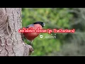 เฮอร์ไมโอน้อง (Hermionong) MV Eng sub - อูน TheChanisara