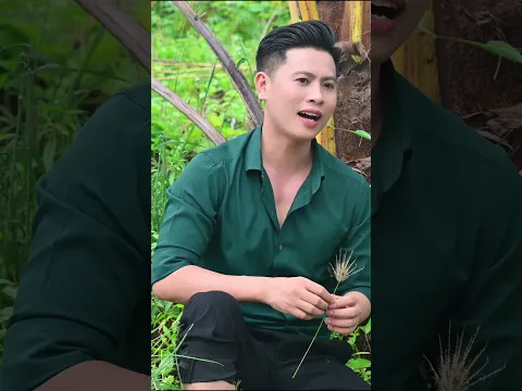 Người Ơi Hãy Về #nguyenthanhvien #bolerohay #nguoioihayve #dancaxunghe