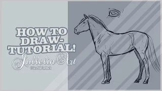 How to Draw Horse Anatomy - Tutorial