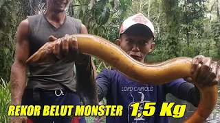my bodyguard even has to take a step to conquer the monster eel