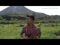 Download Lagu Tanah karo simalem  cover