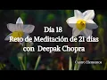 Lagu Día 18º Creando Abundancia º  Reto de Meditación de 21 días con  Deepak Chopra